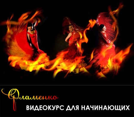 Скачать Фламенко - Видеокурс для начинающих (2008/DVDRip) бесплатно, фильм DVDrip мультфильм игру