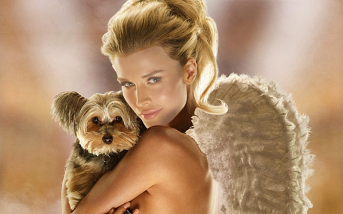 Скачать Шаблон для photoshop - Девушка с крыльями ангела и собачкой бесплатно, фильм DVDrip мультфильм игру