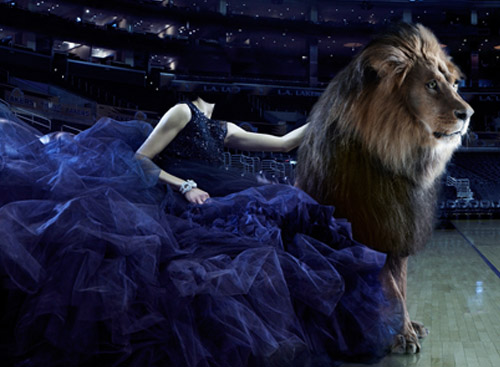 Скачать Шаблон для photoshop - Девушка в пышном наряде с царем зверей бесплатно, фильм DVDrip мультфильм игру