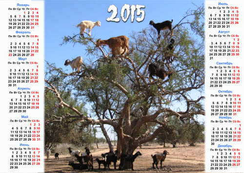 Скачать Настенный календарь - Козы на дереве бесплатно, фильм DVDrip мультфильм игру