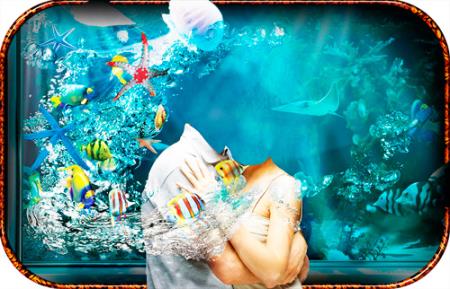 Скачать Шаблон - Фантастический аквариум бесплатно, фильм DVDrip мультфильм игру