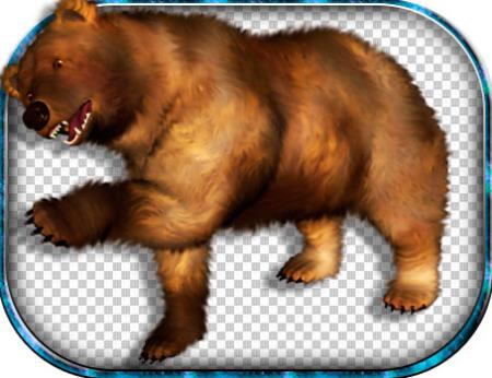 Скачать Картинки в формате png - Медведи бесплатно, фильм DVDrip мультфильм игру