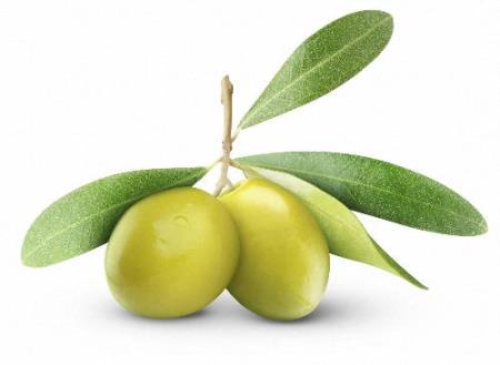 Скачать Клипарты для фотошопа - Черные и зеленые оливки и маслины бесплатно, фильм DVDrip мультфильм игру