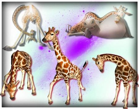 Скачать Клипарт прозрачный - Смешные жирафы бесплатно, фильм DVDrip мультфильм игру