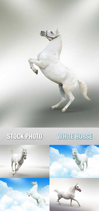 Скачать Скачать фотоклипарт - Белые лошади бесплатно, фильм DVDrip мультфильм игру