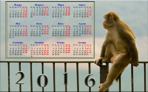 Скачать Задумчивая обезьяна - Календарная сетка бесплатно, фильм DVDrip мультфильм игру